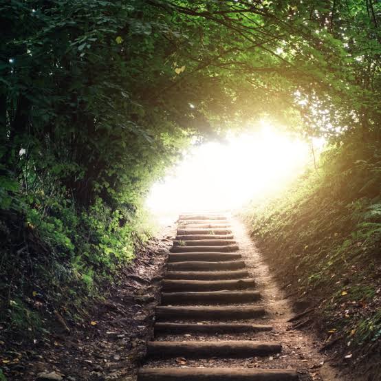 Stairs through forest